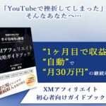 XMアフィリエイトは副業詐欺?(赤星達也)怪しい案件口コミや評価も検証