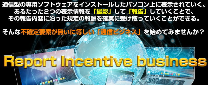 RIB,藤田仁,通信ソフトウェア副業,Report Incentive Business,検証